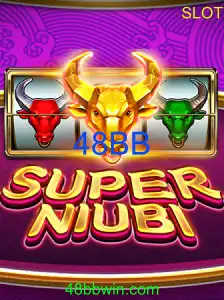 SuperNiubi